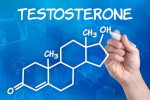 resveratrol testosterone